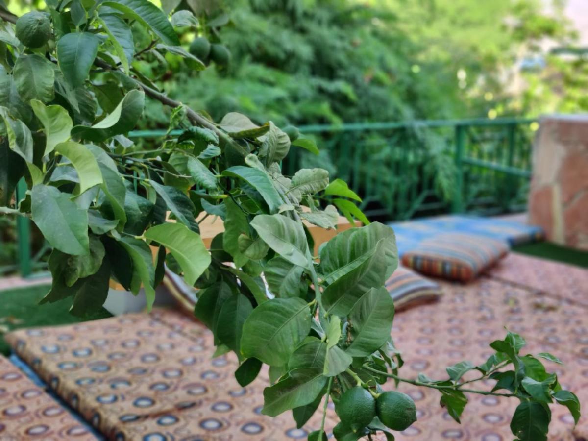 Dive Time Villa Ейлат Екстериор снимка